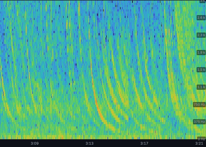 Exemple réel de whistlers sur un spectrogramme, en grand